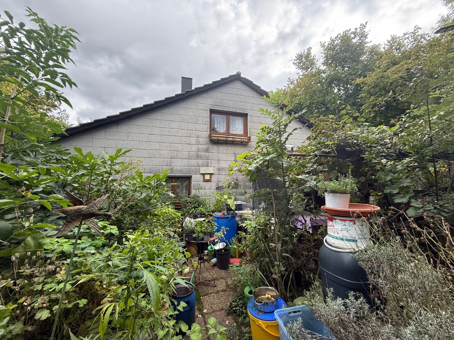 ++Charmantes Wochenendhaus mit idyllischem Garten – Ihr persönlicher Rückzugsort im Grünen++ - Aussenansicht (21530)