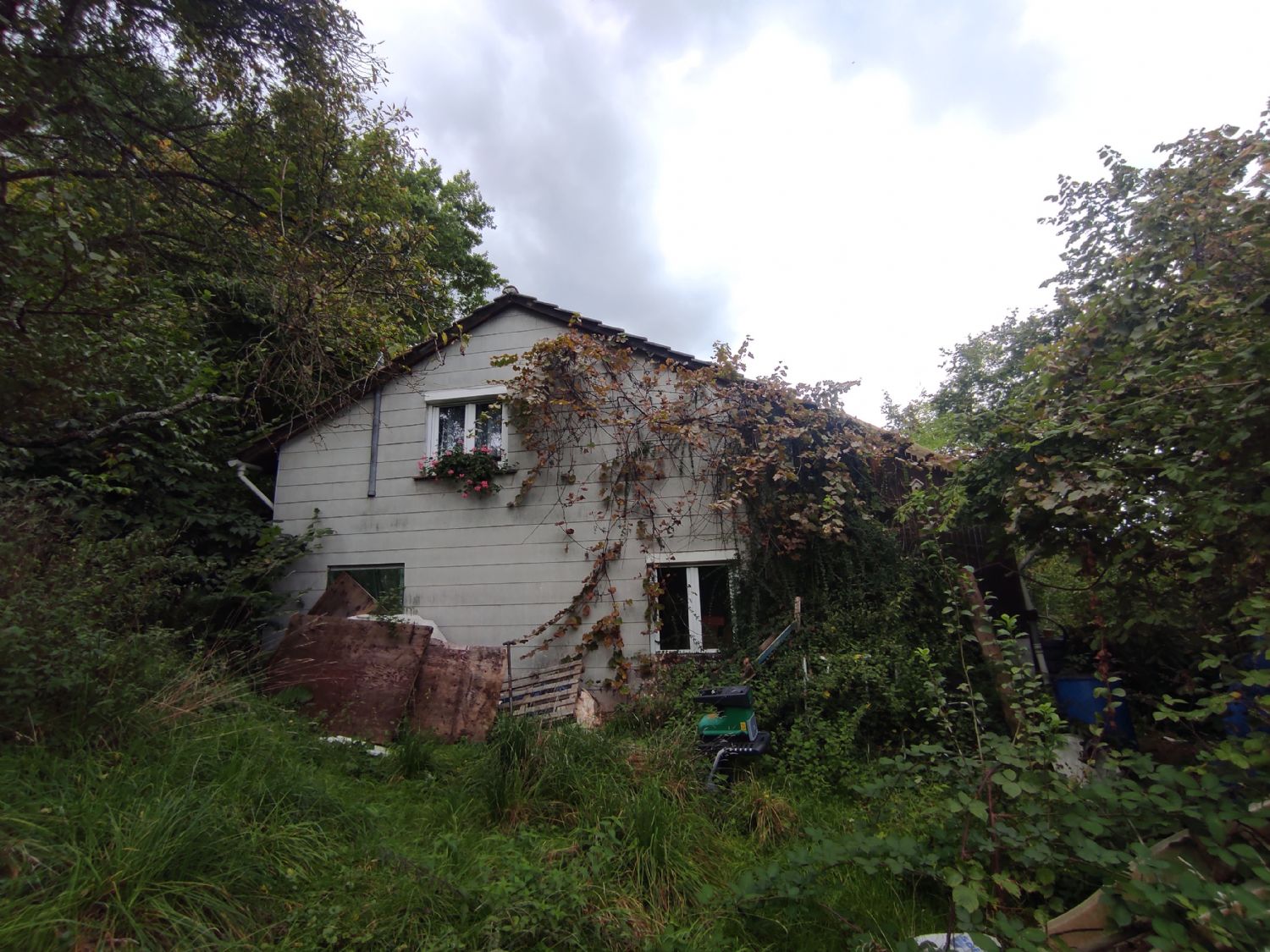 ++Charmantes Wochenendhaus mit idyllischem Garten – Ihr persönlicher Rückzugsort im Grünen++ - Aussenansicht (21531)