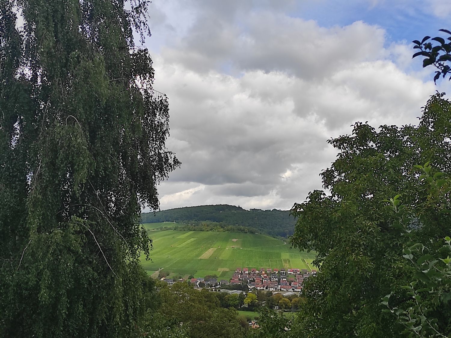 ++Charmantes Wochenendhaus mit idyllischem Garten – Ihr persönlicher Rückzugsort im Grünen++ - Ausblick (21528)