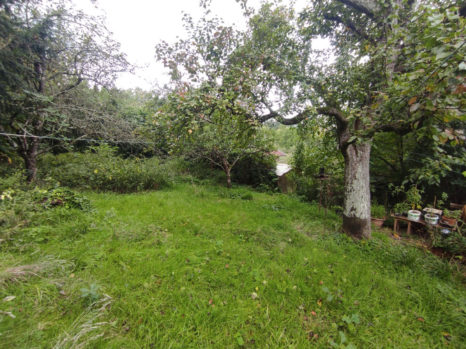 ++Charmantes Wochenendhaus mit idyllischem Garten – Ihr persönlicher Rückzugsort im Grünen++ - Garten (21535)