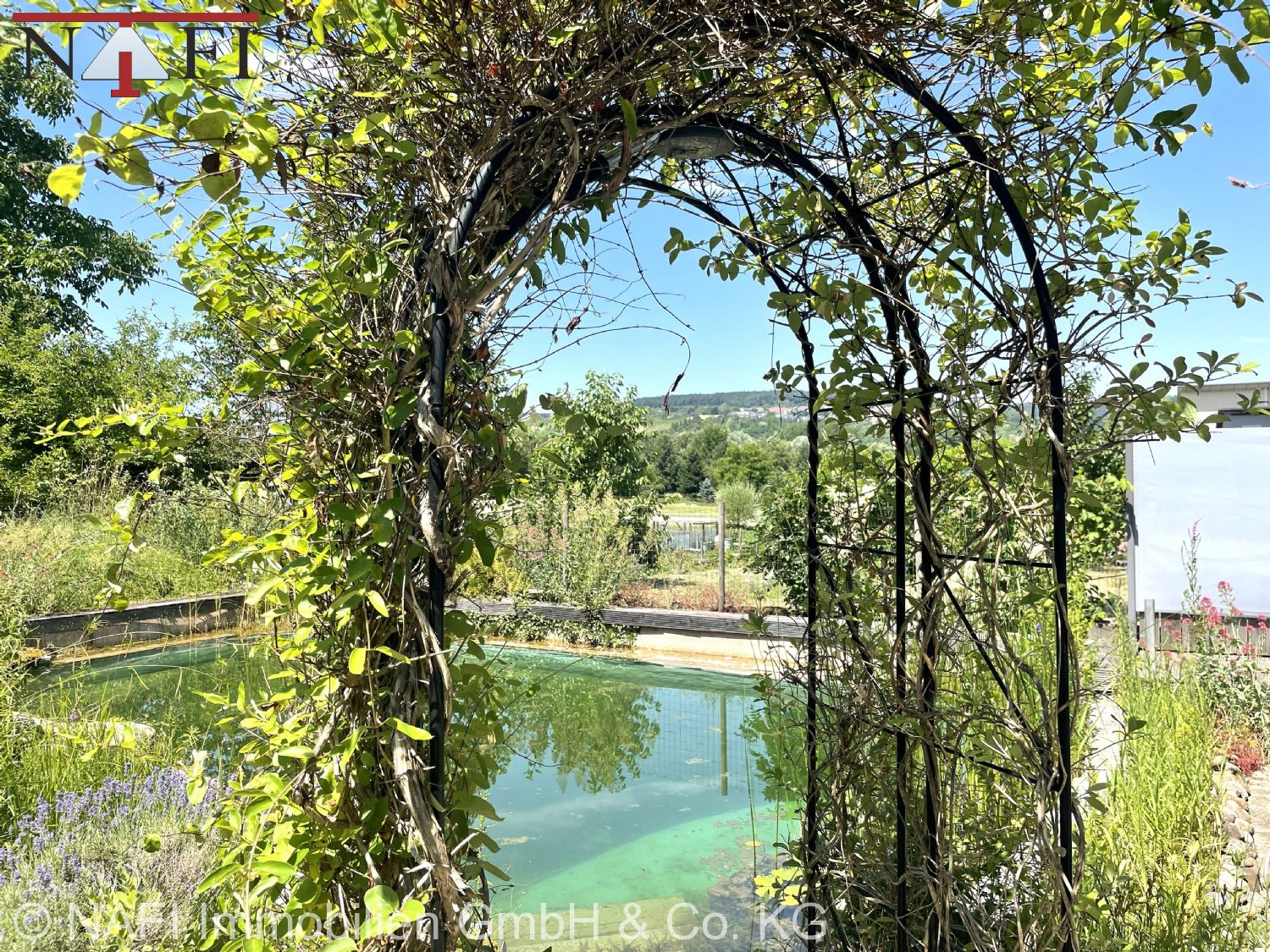 Exklusives Passivhaus mit Schwimmteich, Photovoltaik und hochwertiger Ausstattung - Schwimmteich (22736)