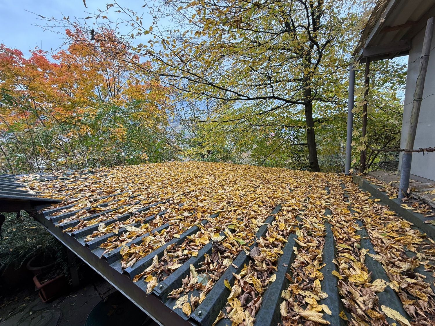 +++ Natur genießen – Charmantes Einfamilienhaus für Wochenenden und Freizeit +++ - Pavillon (21547)