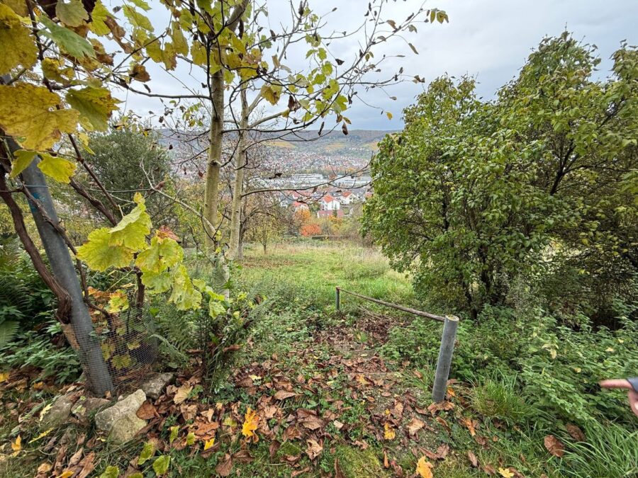 Ausblick