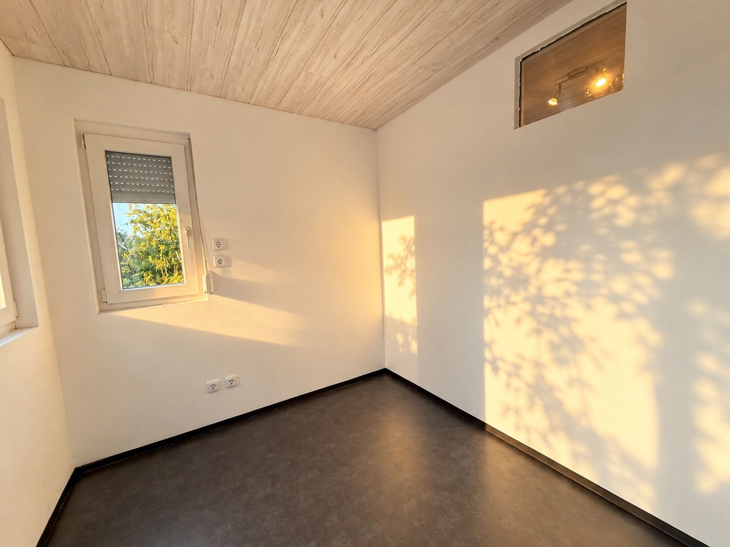 *Großzügiges EFH mit ELW in Waldrandlage* - Bild (23878)