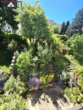 Garten - *Familien aufgepasst! ~ Gepflegtes Reihenmittelhaus mit kleinem Garten ~
