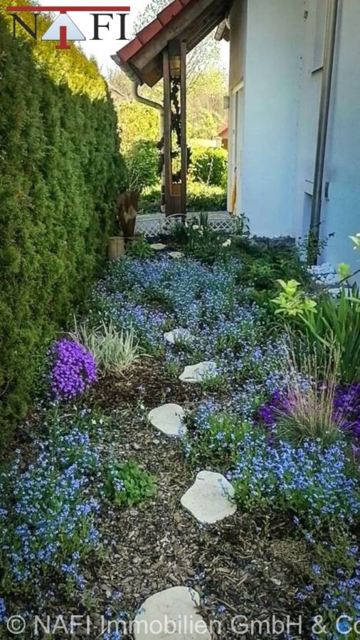 Garten Nordseite