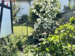 Vorgarten Nord - **Wohnen, wo Schorndorf am schönsten ist**
