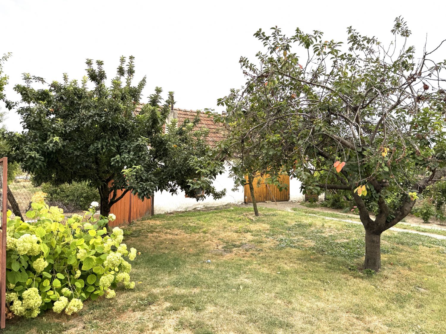 – Perle des Südens – Auswandern, Ankommen und Wohlfühlen in Bácsalmás (Südungarn) - Garten, Garage und Nebengebäude (21278)