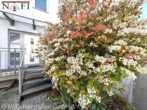 Eingang - * Moderne EG-Wohnung mit Garten – Perfekt für Familien: *