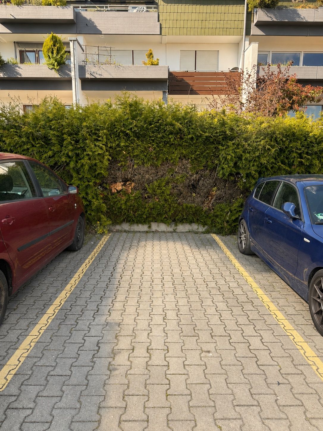 *Exklusive Penthouse-Galeriewohnung mit Kamin und 3 Balkonen* - Bild (23446)
